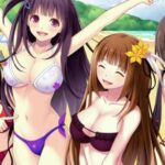 VALKYRIE DRIVE BHIKKHUNI